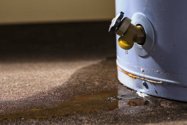 Best 24-hour water damage restoration  in Big Pine Key, FL