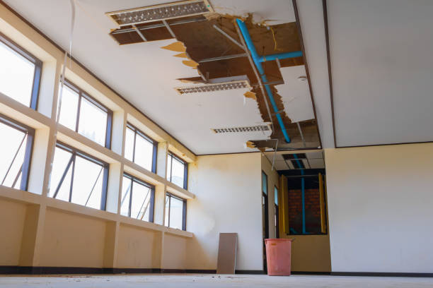 Best Mold removal after water damage  in Big Pine Key, FL