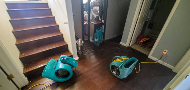 Best Local water damage restoration  in Big Pine Key, FL