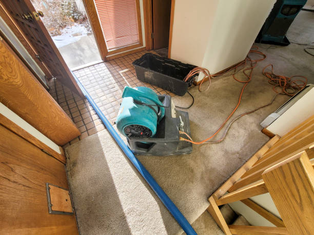 Best Water damage restoration mold remediation  in Big Pine Key, FL