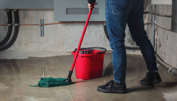 Best Water damage restoration near me  in Big Pine Key, FL