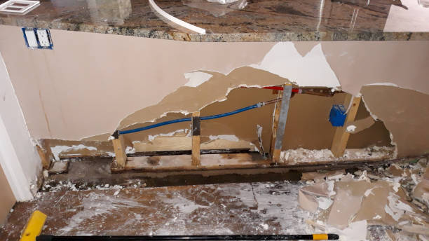 Best Water damage restoration near me  in Big Pine Key, FL