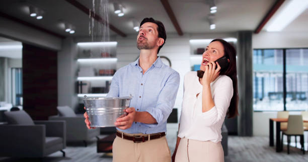 Best Flooded house restoration  in Big Pine Key, FL