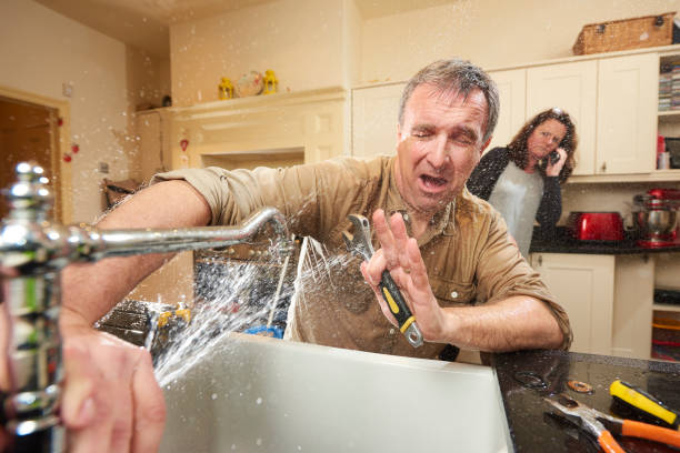Best Flood damage cleanup  in Big Pine Key, FL